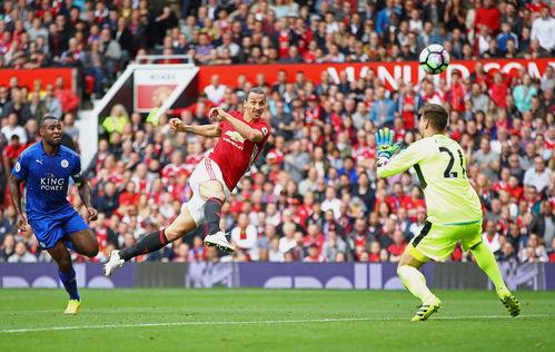 英超莱斯特爆料视频回放,球队备战英超新赛季幕后故事